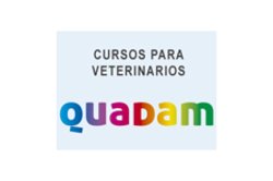 Quadam